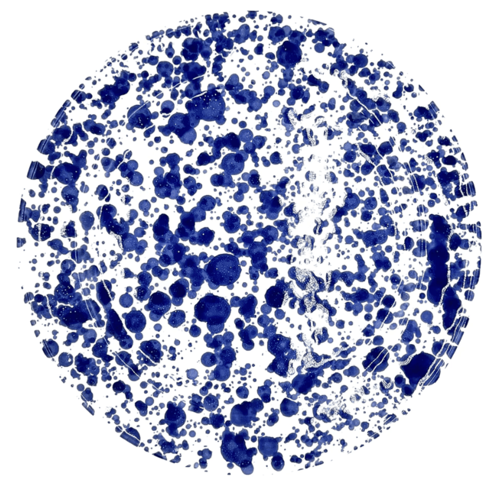 Cobalt Blue & White Speckled Ceramic Dinner Plate - Dinnerware - The Well Appointed House